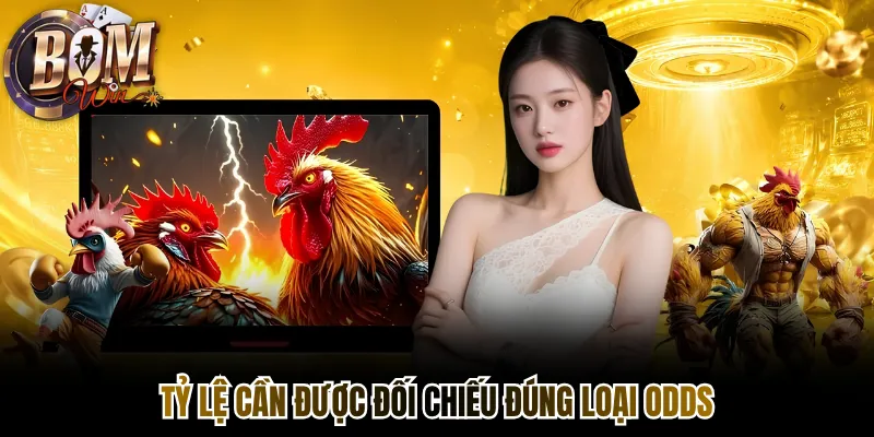 Tỷ lệ cần được đối chiếu đúng loại odds