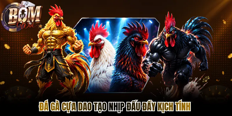 Đá gà cựa dao tạo nhịp đấu đầy kịch tính 