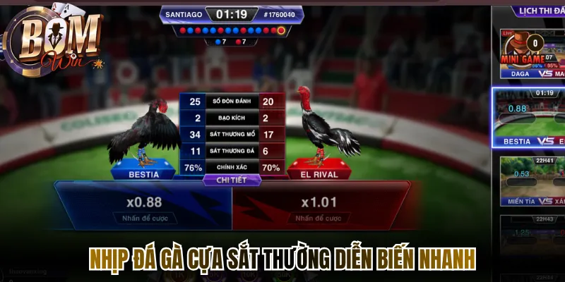 Nhịp đá gà cựa sắt thường diễn biến nhanh